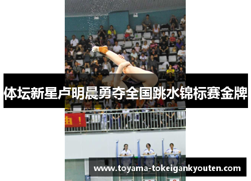 体坛新星卢明晨勇夺全国跳水锦标赛金牌